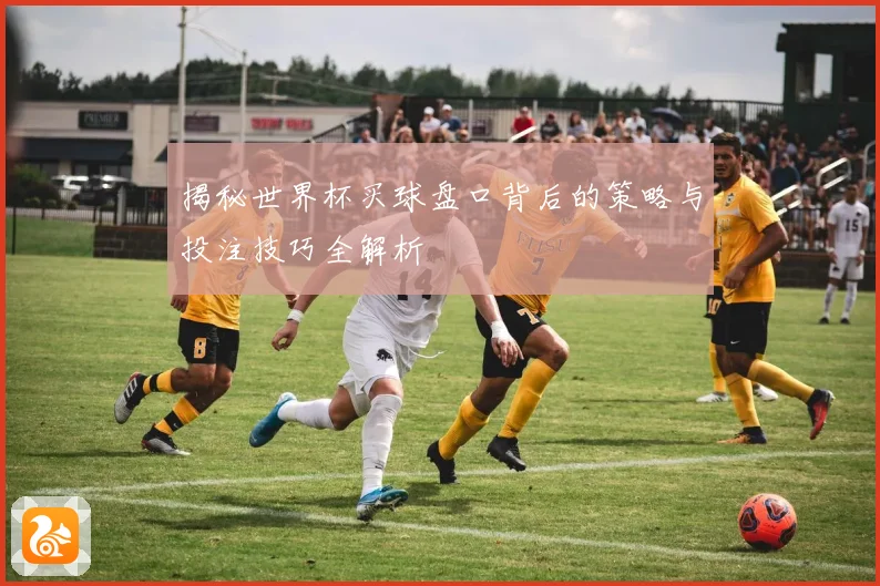 揭秘世界杯买球盘口背后的策略与投注技巧全解析