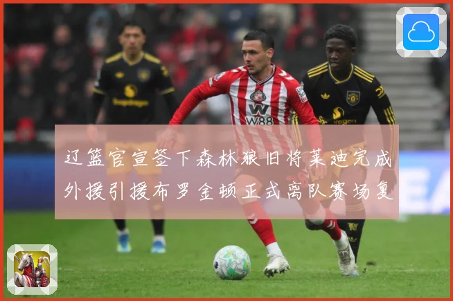 辽篮官宣签下森林狼旧将莱迪完成外援引援布罗金顿正式离队赛场复盘