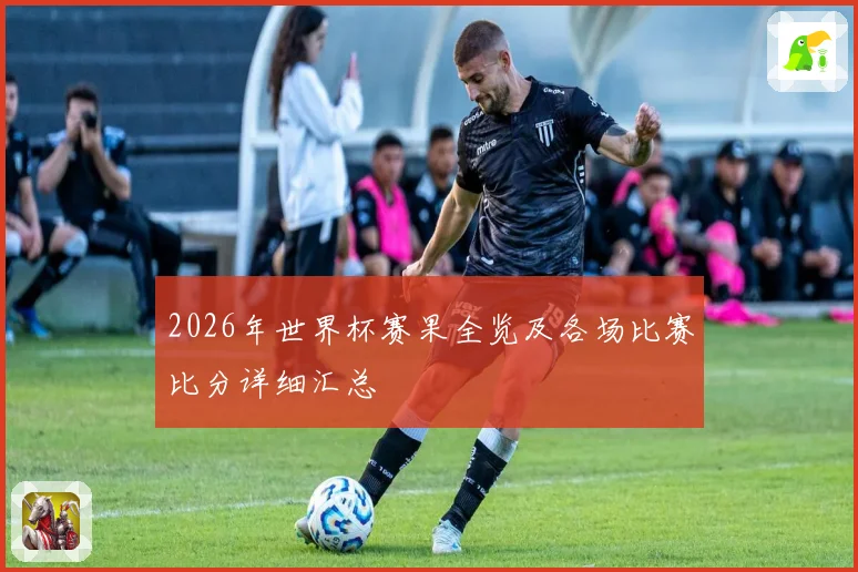 2026年世界杯赛果全览及各场比赛比分详细汇总